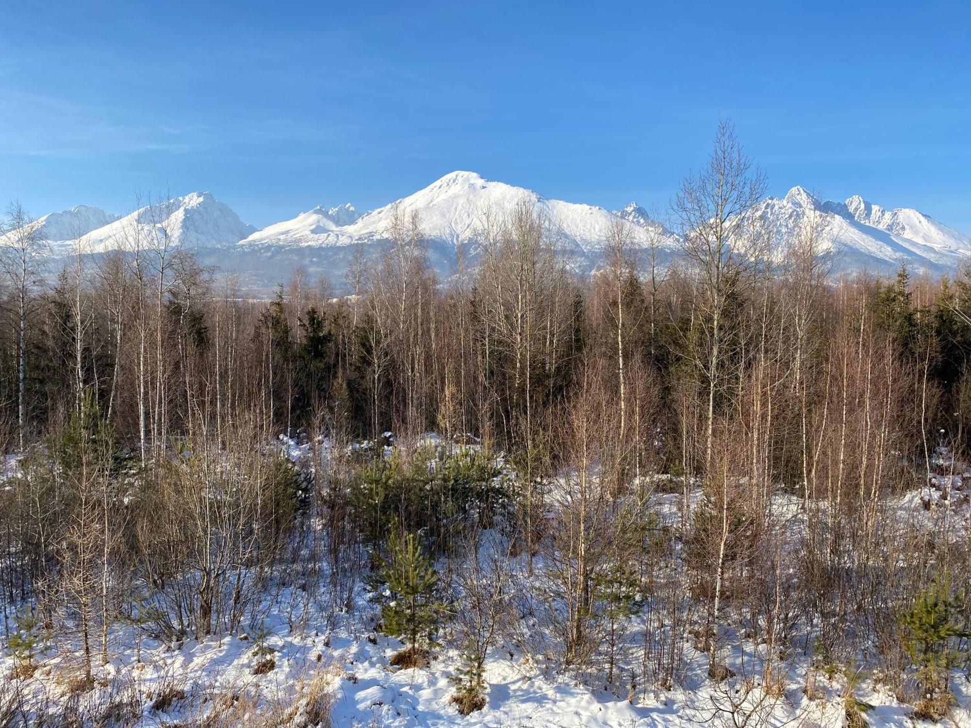 Apartman S Nadhernym Vyhladom Na Tatry Veľký Slavkov Buitenkant foto